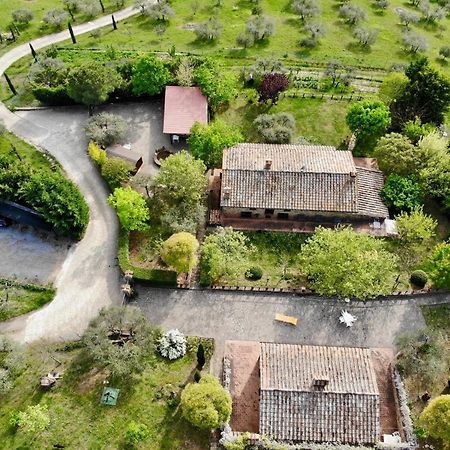 Agriturismo Panorama Sul Lago Passignano sul Trasimeno Buitenkant foto