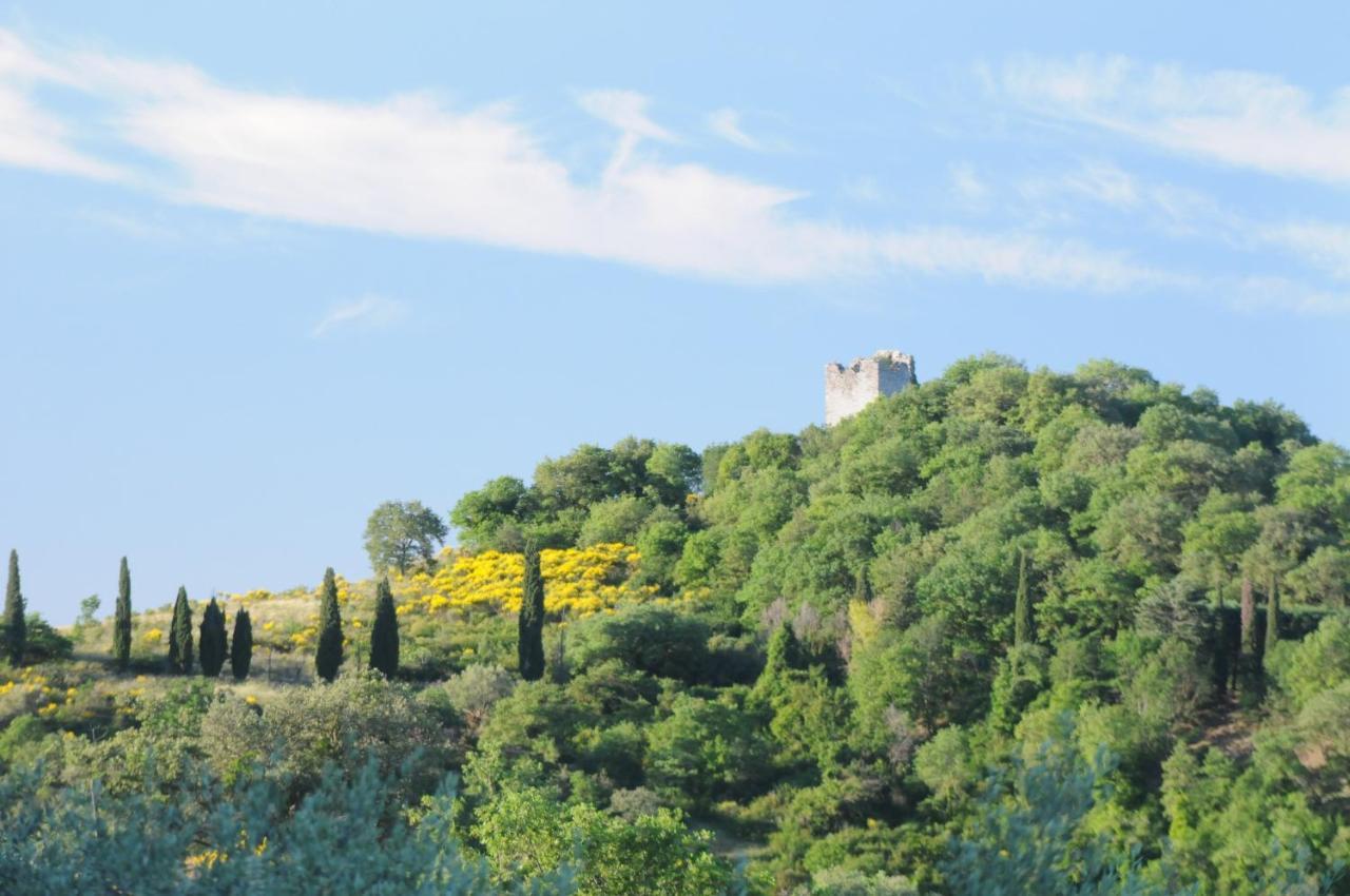 Agriturismo Panorama Sul Lago Passignano sul Trasimeno Buitenkant foto