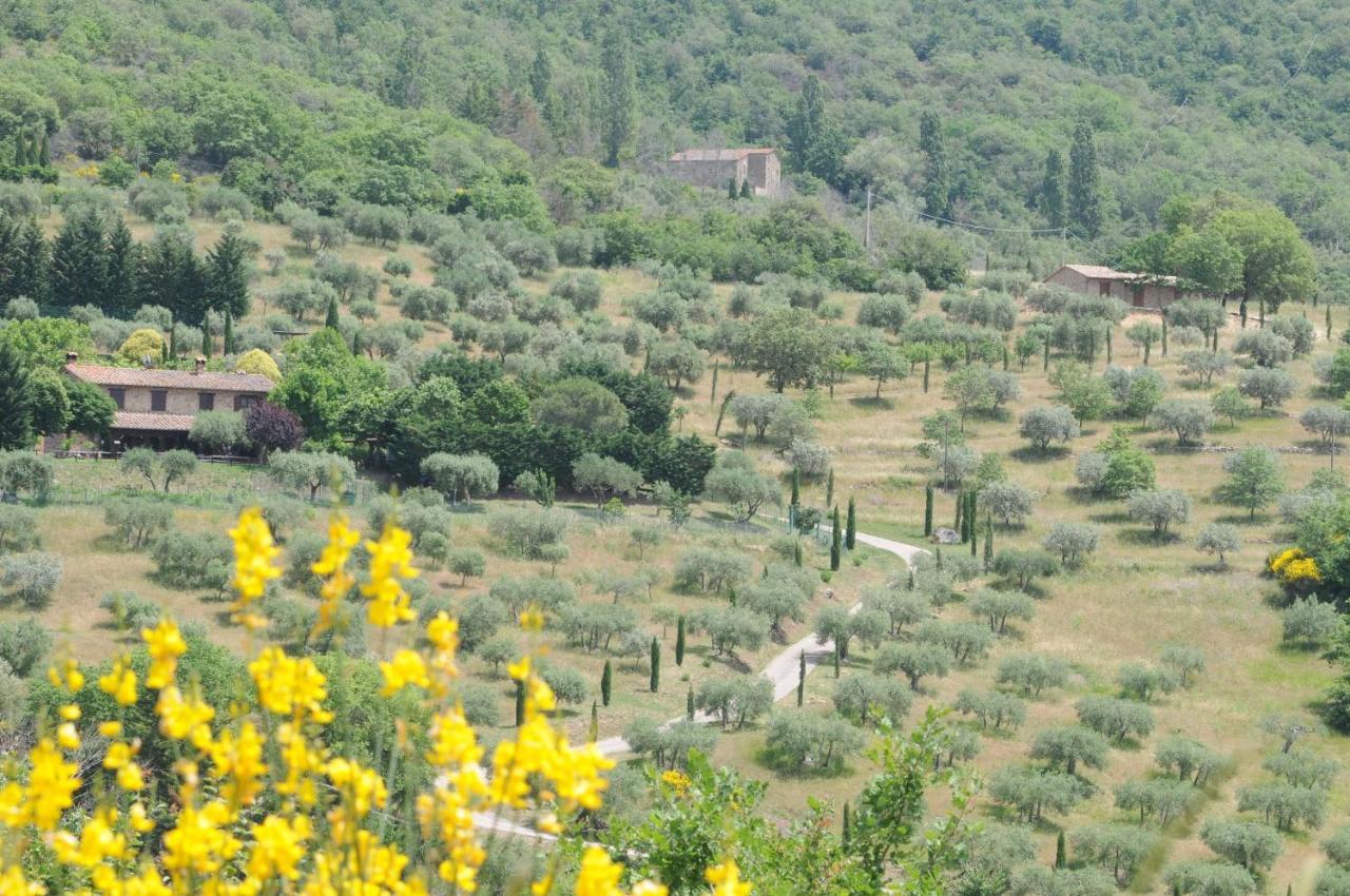 Agriturismo Panorama Sul Lago Passignano sul Trasimeno Buitenkant foto