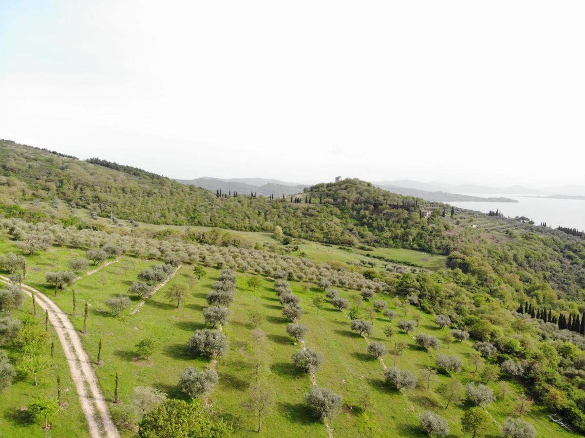 Agriturismo Panorama Sul Lago Passignano sul Trasimeno Buitenkant foto